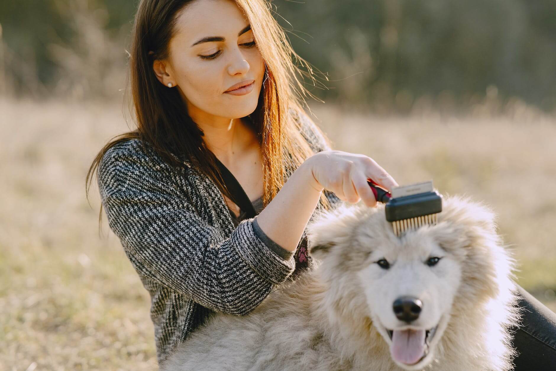 photo of woman brushing her dog